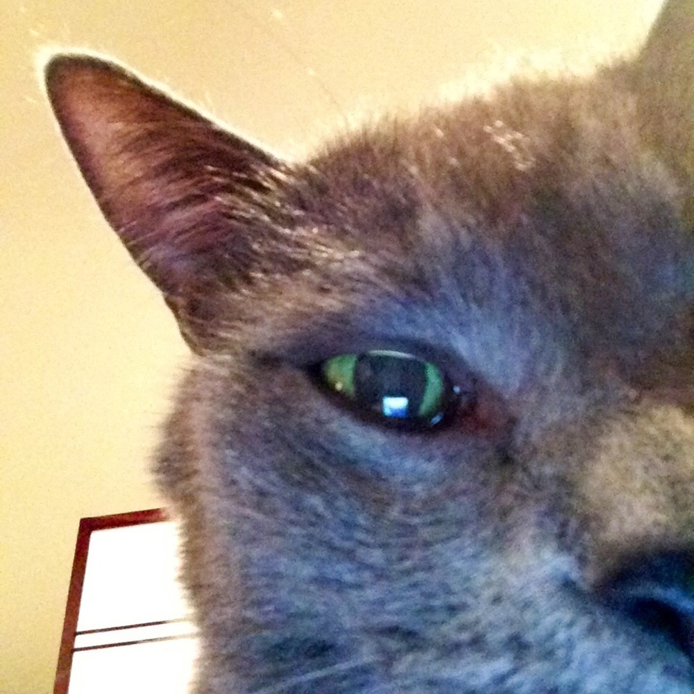 Meet your Posher, Jenny